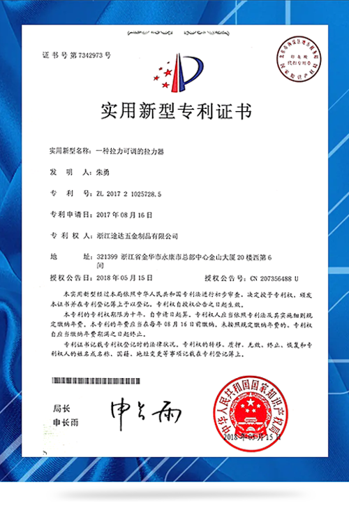 Patent