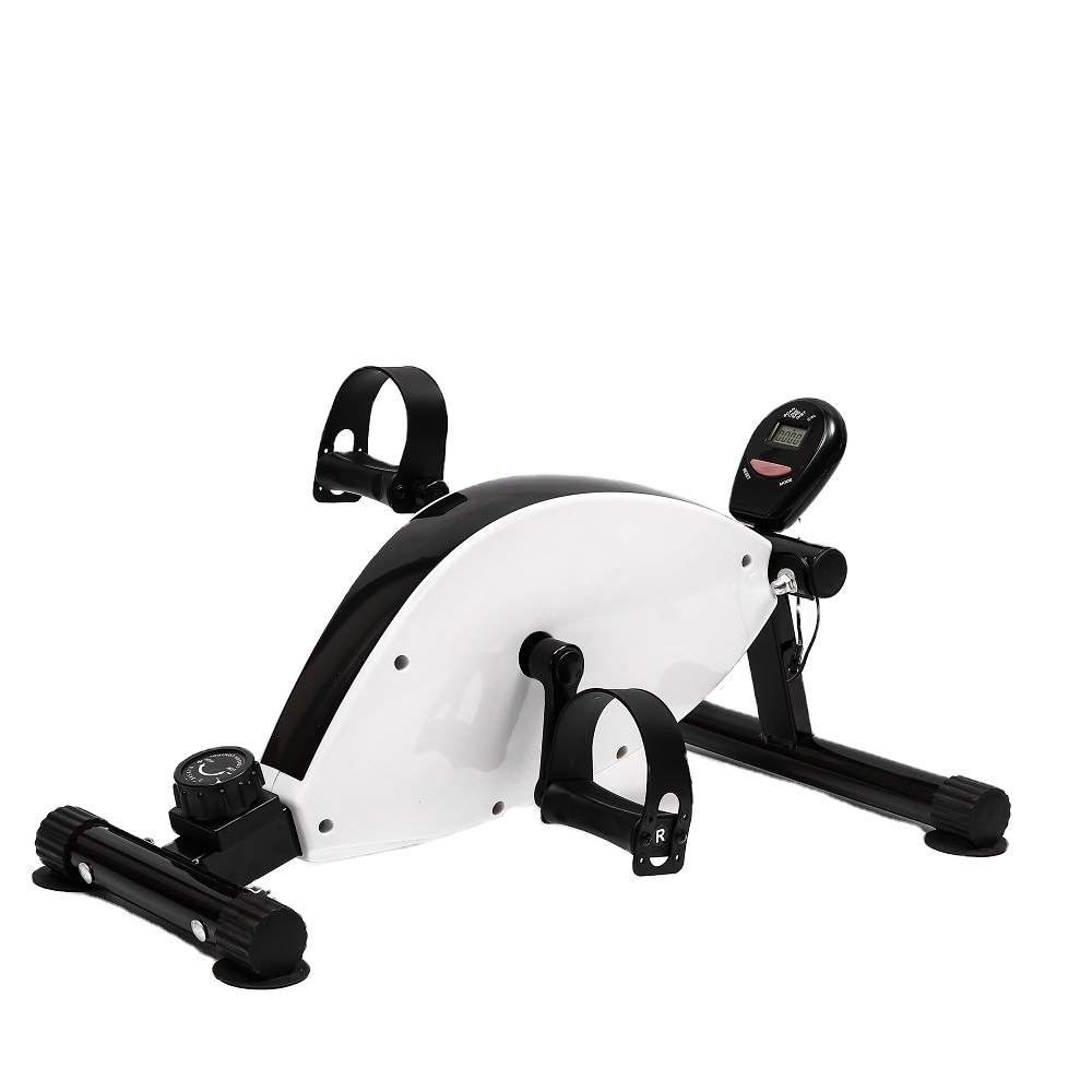 Mini Magnetic Bike