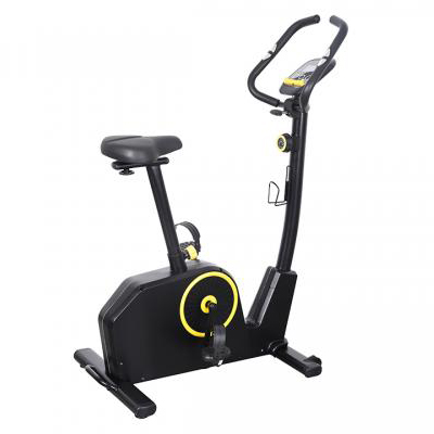Semi Commercial Magnetic Bike