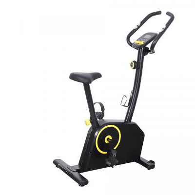 Semi Commercial Magnetic Bike