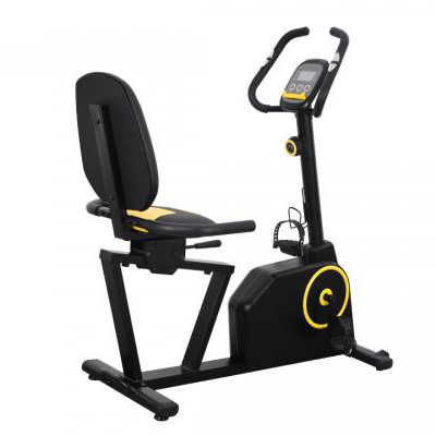 Semi Commercial Recumbent Bike